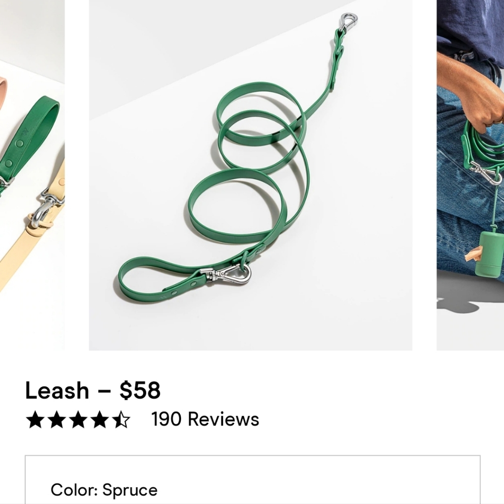 Wild One Leash size Small, color Spruce - For dogs up to 30 pounds. NWT!